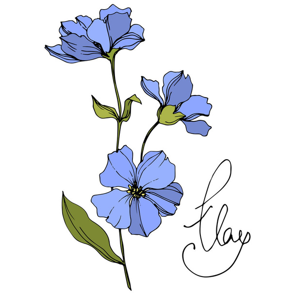 ベクトル亜麻花植物の花 野生の春の葉の野生の花が孤立しました 青と緑のインクアート 白い背景に孤立した亜麻のイラスト 要素 ロイヤリティフリーのベクターグラフィック画像