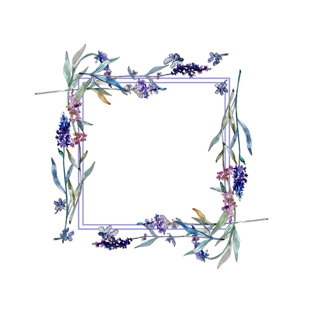 ラベンダーの花の植物の花 野生の春の葉の野生の花が孤立しました 水彩背景イラストセット 水彩画ファッションアクアレル孤立 フレームボーダーオーナメント正方形 ロイヤリティフリー写真 画像素材