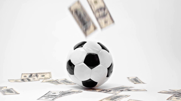 ホワイトでサッカーに近いドル紙幣 オンライン賭けの概念 ストック動画映像