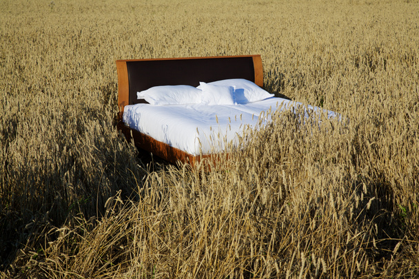 Кровать В Поле Фото