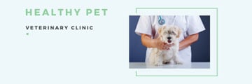 Healthy pet veterinary clinic