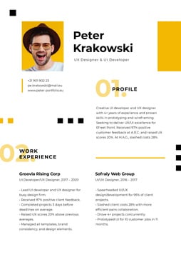 Designer professional Skills and Experience