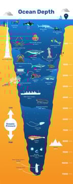 Education infographics about Ocean Depth