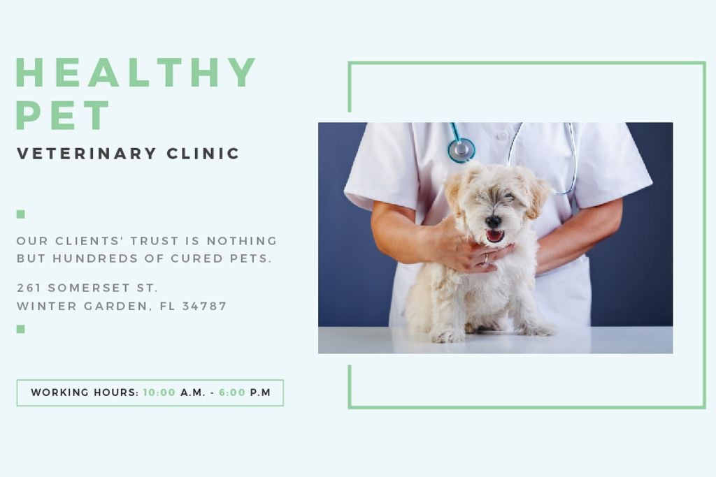 Healthy pet veterinary clinic — Створити дизайн Healthy pet veterinary clinic — Створити дизайн