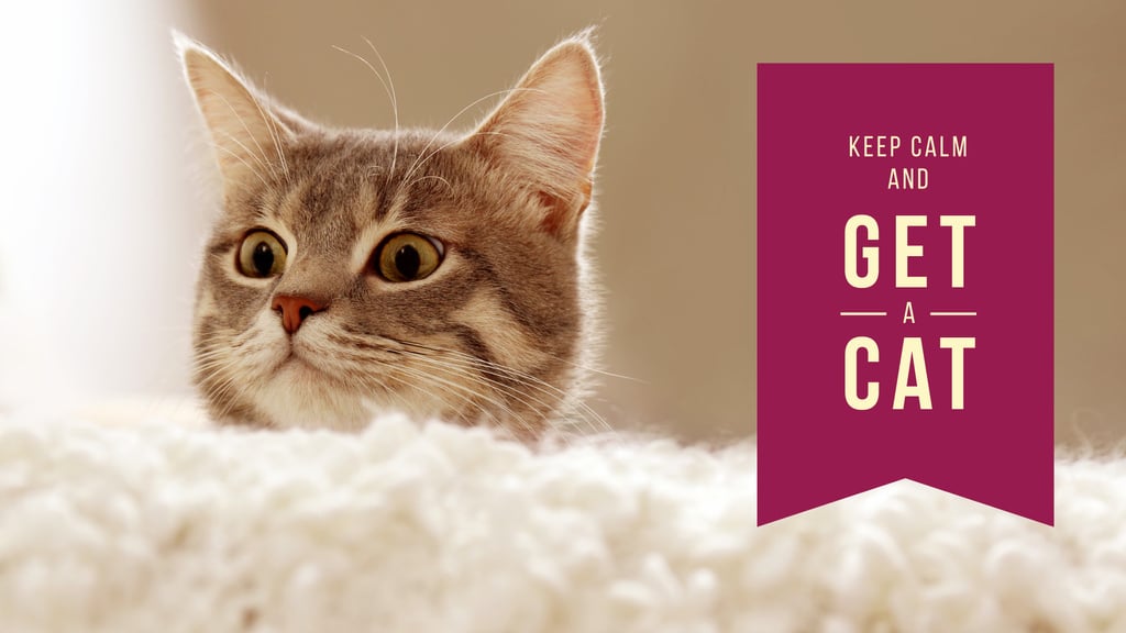 Keep calm and get a cat — Modelo de projeto Keep calm and get a cat — Modelo de projeto