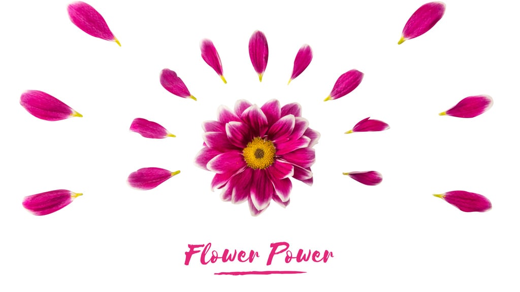 Purple daisy flower with petals — Crear un diseño Purple daisy flower with petals — Crear un diseño