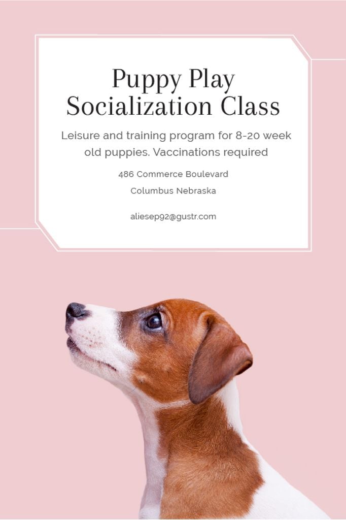 Puppy play socialization class – Stwórz projekt Puppy play socialization class – Stwórz projekt