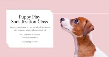 Puppy play socialization class