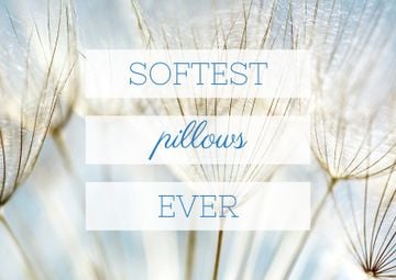 Softest Pillows Ad with Tender Dandelion Seeds