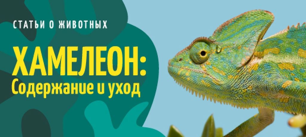Exotic Pets Guide Green Chameleon | VK Post with Button Template — Создать дизайн Exotic Pets Guide Green Chameleon | VK Post with Button Template — Создать дизайн