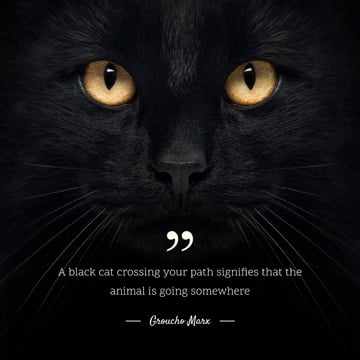 Citation about Black Cat