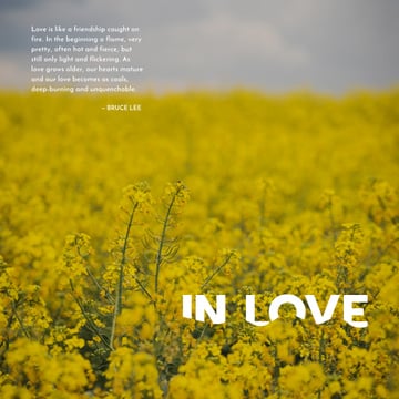 Yellow rape field with quotation