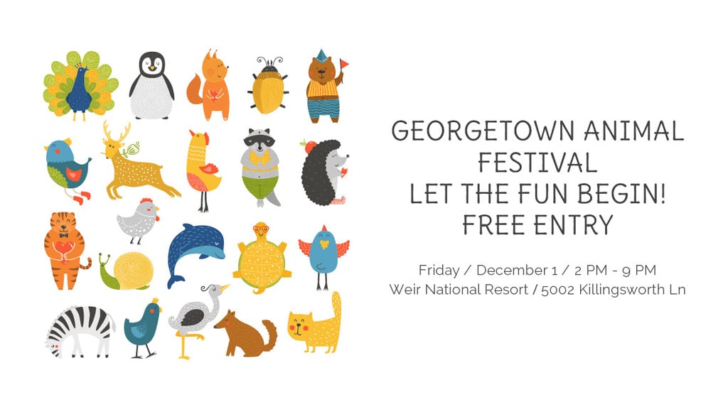 Georgetown Animal Festival — Modelo de projeto Georgetown Animal Festival — Modelo de projeto