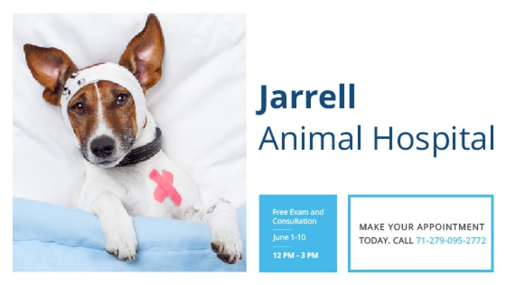 Animal Hospital Ad with Cute injured Dog — Створити дизайн Animal Hospital Ad with Cute injured Dog — Створити дизайн