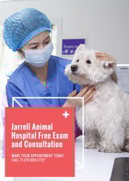 Vet Clinic Ad Doctor Holding Dog