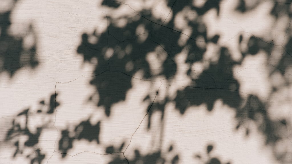 Shadows of trees on the Wall — Crea un design Shadows of trees on the Wall — Crea un design