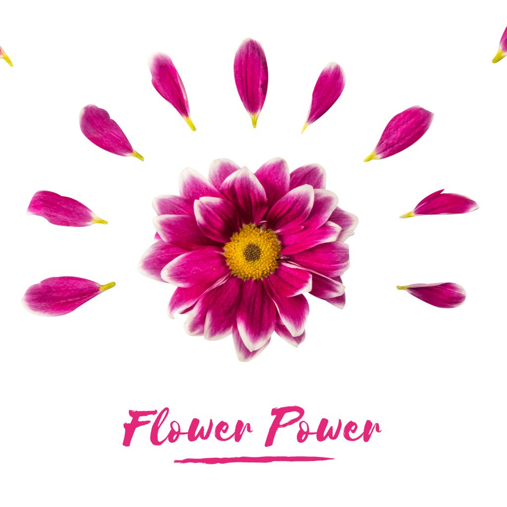 Purple daisy flower with petals — Crear un diseño Purple daisy flower with petals — Crear un diseño
