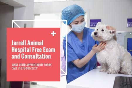 Gift Certificate 432 × 288 in