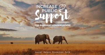 Wild Elephants in Desert