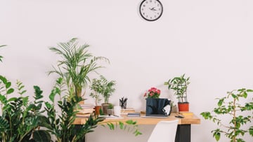 Cozy Home Workplace with vases of Flowers