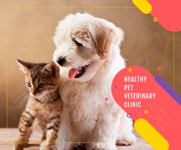 Healthy pet veterinary clinic