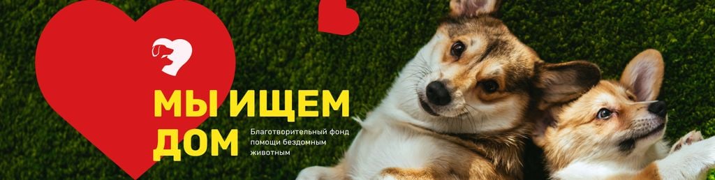 Pet Adoption Center Promotion Funny Dogs | VK Community Cover — Crea un design Pet Adoption Center Promotion Funny Dogs | VK Community Cover — Crea un design