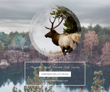 Eco Blog ad with Wild Deer
