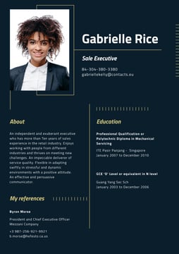 Professional Sale Executive profile