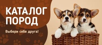 Dog Breed Guide with Corgi Puppies in Basket