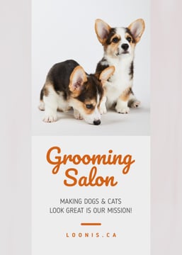 Grooming Salon Ad Cute Corgi Puppies