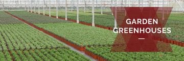 Farming plants in Greenhouse