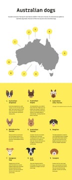 Informational infographics about Australian dogs