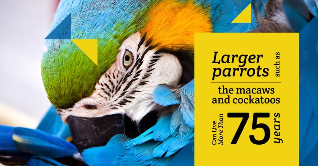 Wildlife Birds Facts Blue Macaw Parrot | Facebook Ad Template — Створити дизайн Wildlife Birds Facts Blue Macaw Parrot | Facebook Ad Template — Створити дизайн
