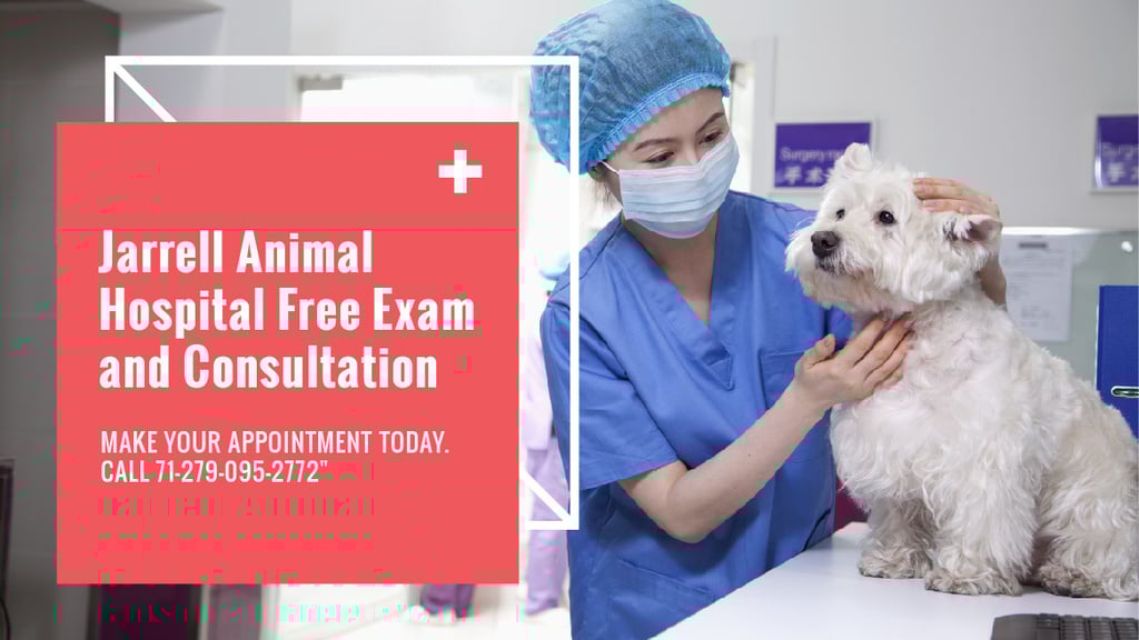 Vet Clinic Ad Doctor Holding Dog — Створити дизайн Vet Clinic Ad Doctor Holding Dog — Створити дизайн
