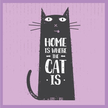 Funny black cat on Purple