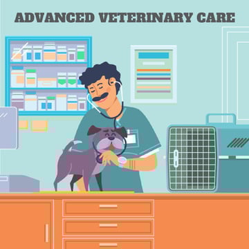 Vet taking care of dog