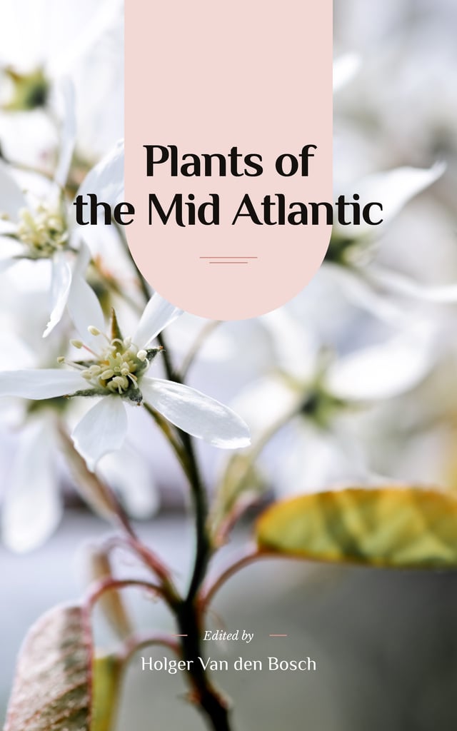 Tender Spring Flowers in White | eBook Template — Crear un diseño Tender Spring Flowers in White | eBook Template — Crear un diseño