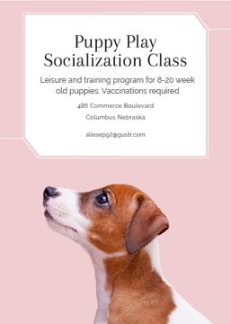 Puppy socialization class with Dog in pink
