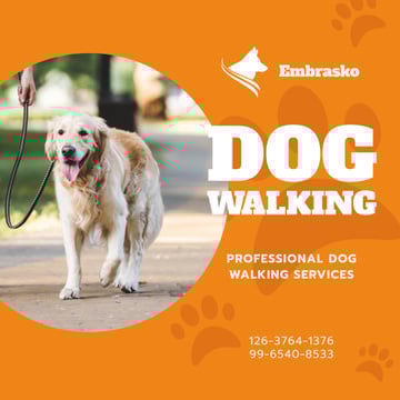 Dog Walking Services Man with Golden Retriever