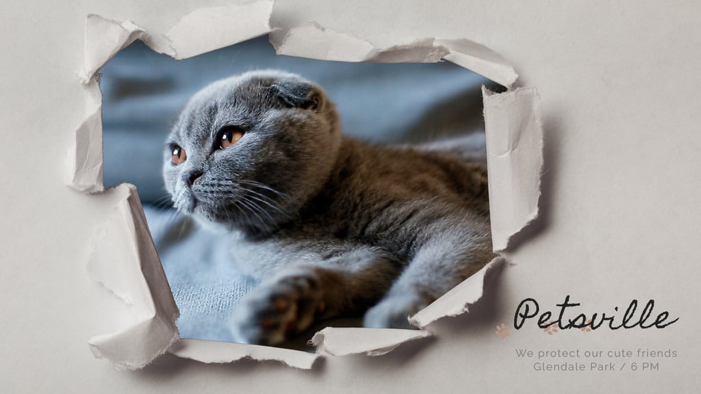 Pet Care Scottish Fold Cat in Torn Paper Frame — ein Design erstellen Pet Care Scottish Fold Cat in Torn Paper Frame — ein Design erstellen