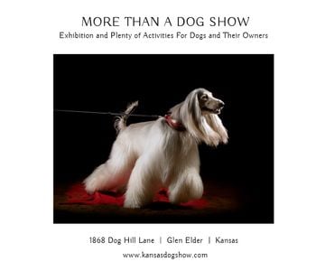Dog Show in Kansas