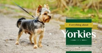 Everything about Yorkies banner
