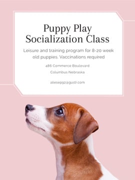 Puppy socialization class with Dog in pink