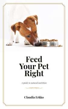 Jack Russell Dog Eating Its Food