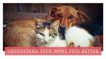 Pets Behavior Cute Dog and Cat