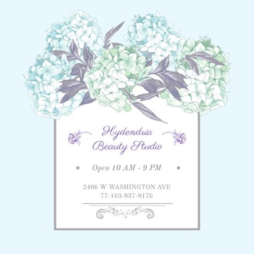 Hydrangea beauty studio ad in Blue