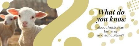 Email Header 600 × 200 px