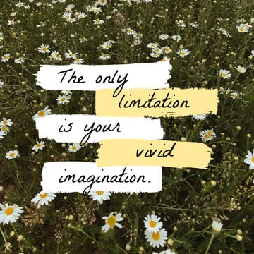 Imagination Quote on blooming Meadow