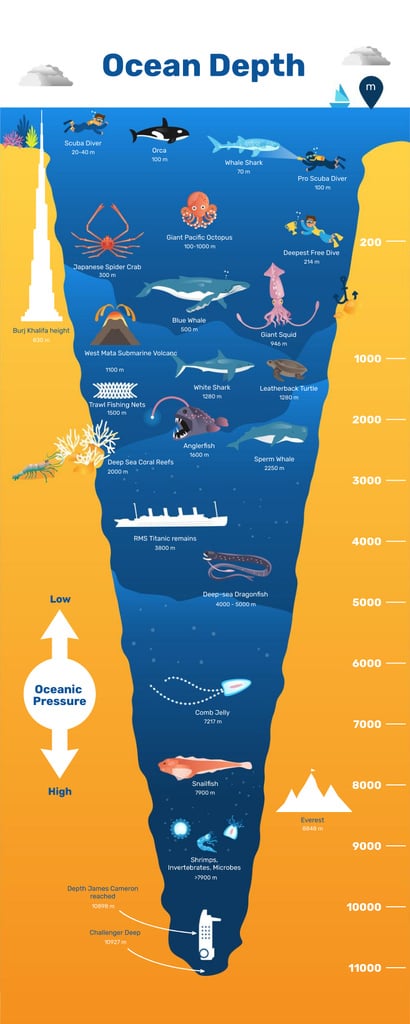 Education infographics about Ocean Depth — Створити дизайн Education infographics about Ocean Depth — Створити дизайн