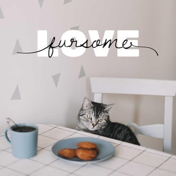 Cute Cat at Kitchen with Coffee